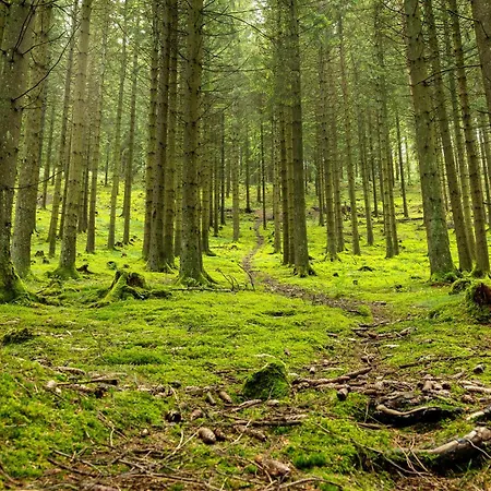 Schober * Kirchhundem